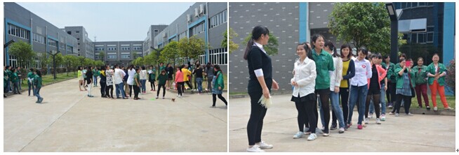 首页- J9集团国际站官网入口