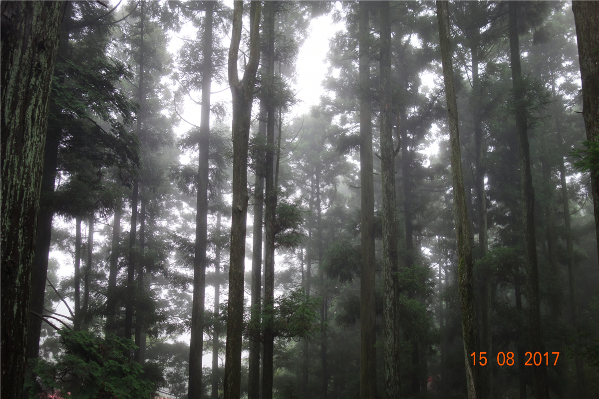 首页- J9集团国际站官网入口