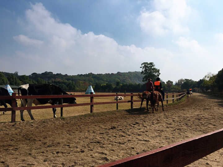 首页- J9集团国际站官网入口