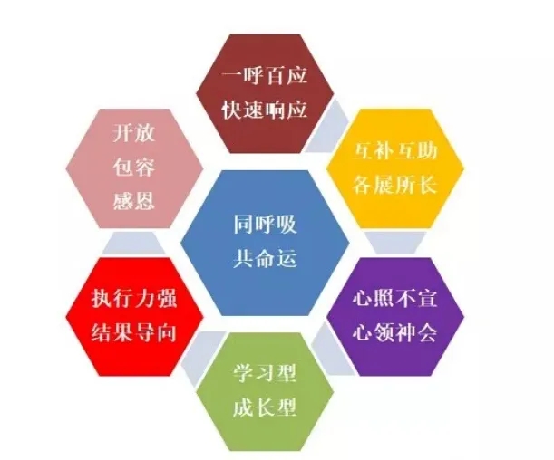 首页- J9集团国际站官网入口