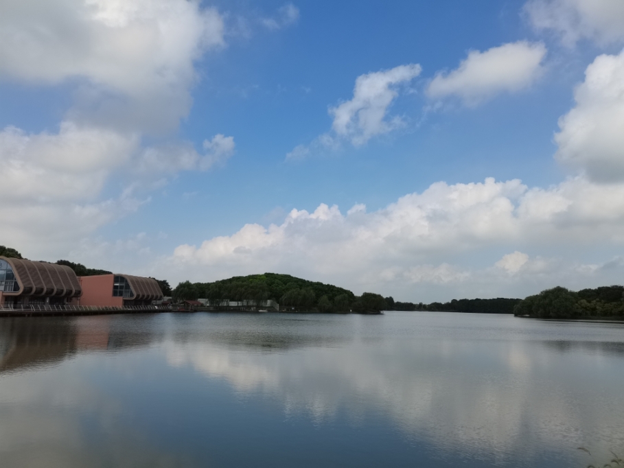 rJbeEMmQDwSv4ionvarwFmGBAtzmUfIYP07kPXLL